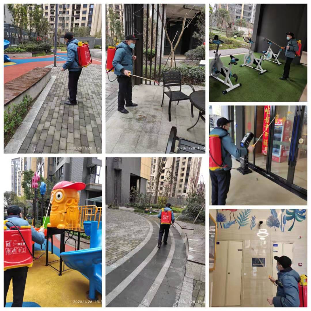 1580781024280572.jpg 9.jpg